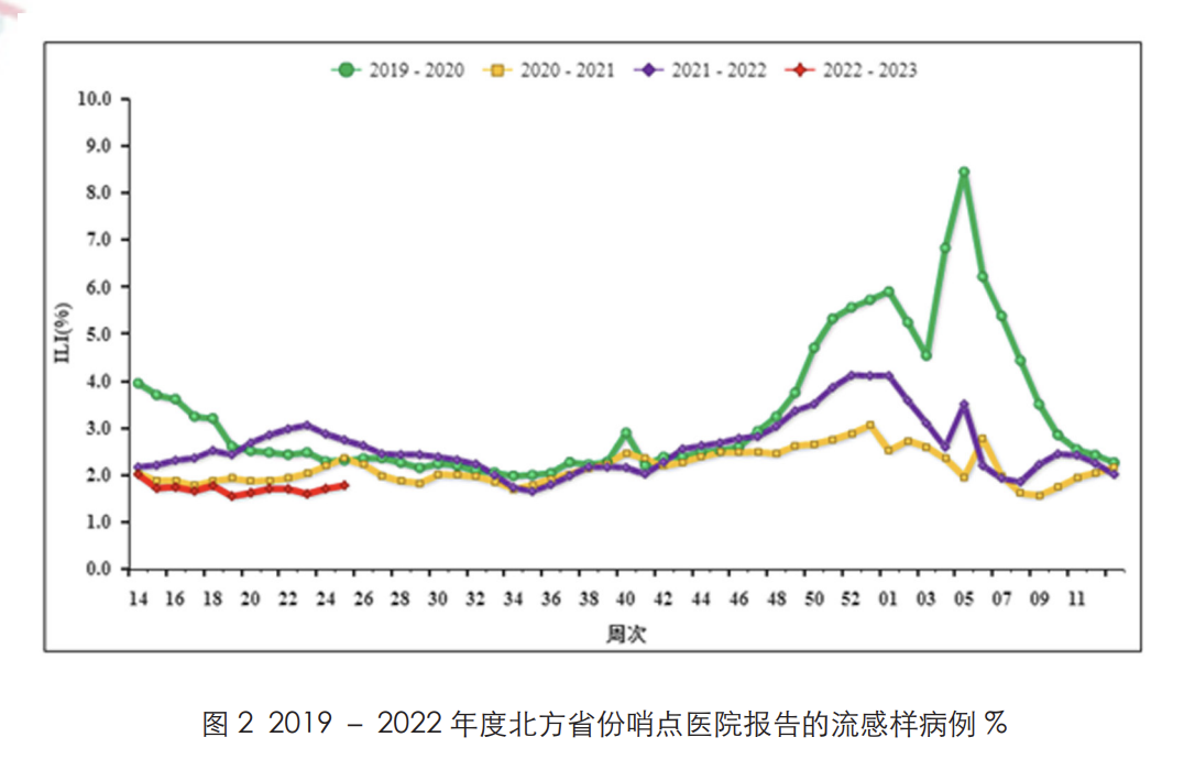 流感最新动态，对生活的影响与应对策略